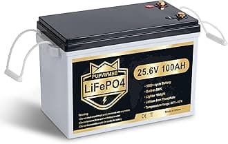 Compact 24V 100Ah Lithium Battery, 24V 100Ah LiFePO4 Battery, Built-in 100A Low Temperature Protection BMS, Great for RV/Camper, Trolling Motors, Solar Off-Grid, Marine/Boat