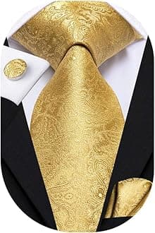 Hi-TieSilk Paisley Ties for Men Necktie Pocket Square Cufflinks Set Foral Tie Sets Formal Business