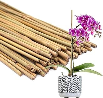 50Pcs Plant Stakes,POLIUMB 17.9 Inch Natural Bamboo Stakes，Garden Stakes for Indoor and Outdoor Plants,Poles Sticks for Tomatoes,Beans,Flowers,Trees Potted and Climbing Plants