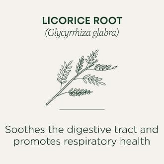 Organic Licorice Root Herbal Tea