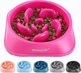 MateeyLife Slow Feeder Dog Bowls, Anti-Choking Puzzle Dog Food Bowls, Anti-Slip Interactive Feeding Slow Down Eating, Bloat Stop Maze Dishes for Medium Large Breeds Purple