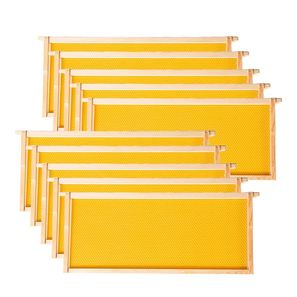 MayBee Deep Brood Beehive Frames with Wax Foundation,10 Pack Honey Bee Frames with 100% Beeswax Coated Food Grade Foundation Sheets, 9-1/8-Inch(Yellow)