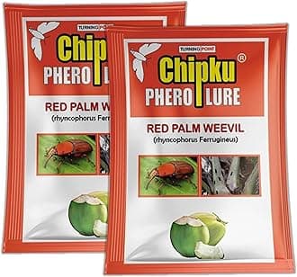 Chipku_Red Palm Weevil Pheromone Lure Against Rhynchophorus ferrugineus & Oryctes Rhinoceros for Coconut Palm Tree Insects Control/Organic Farming/Turning Point Natural Care (Only Lure Pack of 2)