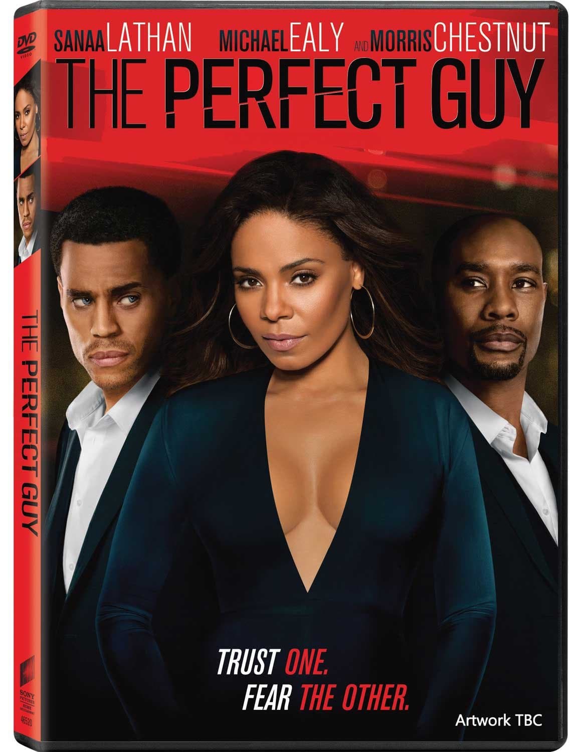 The Perfect Guy [DVD] [2015]