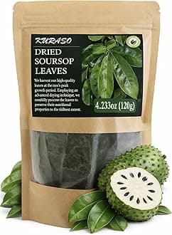 Premium Soursop Graviola Guanabana Dried Leaves for Tea, 120 gr 350-400 Soursop Leaves.