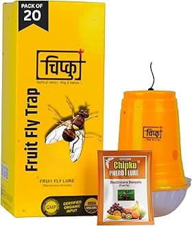 Fly Magnet Trap Useful in Mango, Papaya, Sapota, Guava, Pomegranate, Sweet Fruit (20 Trap with 20 Fruit Fly Lure) - Pack of 20