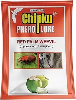 Chipku Pheromone Lure for Red Palm Weevil Pack of 10 Rhynchophorus ferrugineus Coconut Palm Insect Control Organic Farming Product by Turning Point Natural Care
