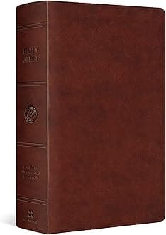 ESV Large Print Personal Size Bible (TruTone, Chestnut)