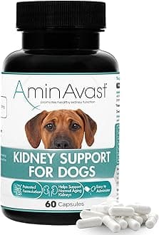 AminAvast Dog Kidney Supplement - Supports Natural Kidney Function - Promotes Health & Vitality of Aging Kidneys - Pet-Friendly, 1000mg, 60 Capsules.