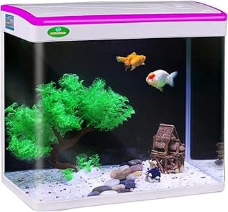JAINSONS PET PRODUCTS Aquarium Glass Tank Aquarium Tank for Home with Light and Filter Aquarium Tank Set (22 Liter) Model MJ-360 (Color May Vary)