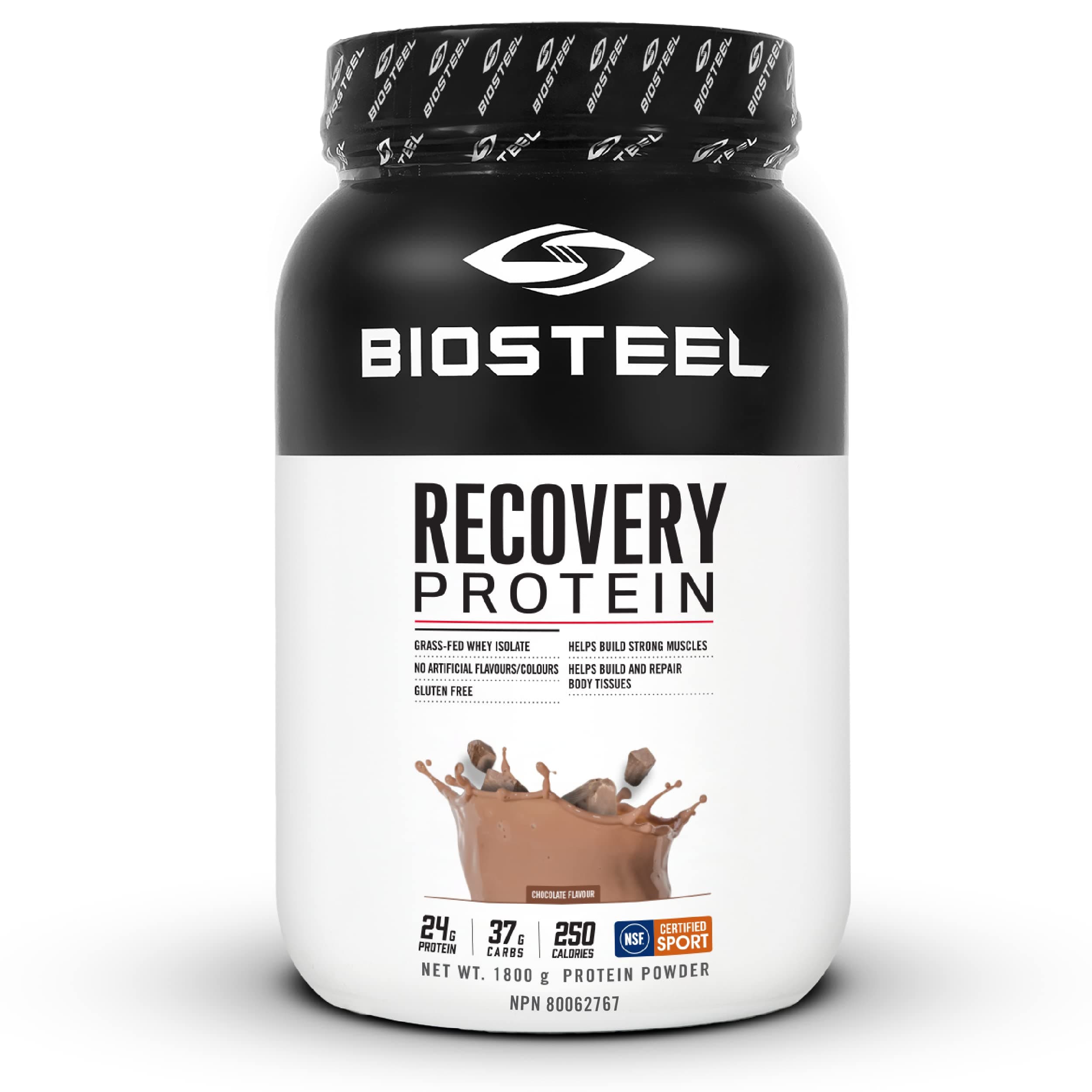 Recovery Protein Plus