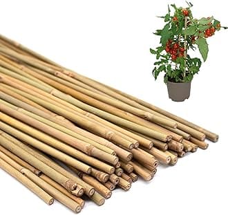 50PCS Plant Stakes,16 Inch Natural Bamboo Stakes，Garden Stakes for Indoor and Outdoor Plants，Poles Sticks for Tomatoes,Beans,Flowers,Trees Potted and Climbing Plants