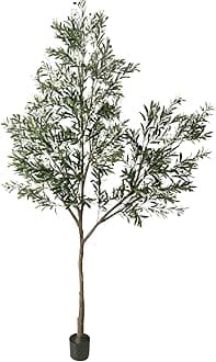Phimos Olive Tree, Green, 208.3 cm