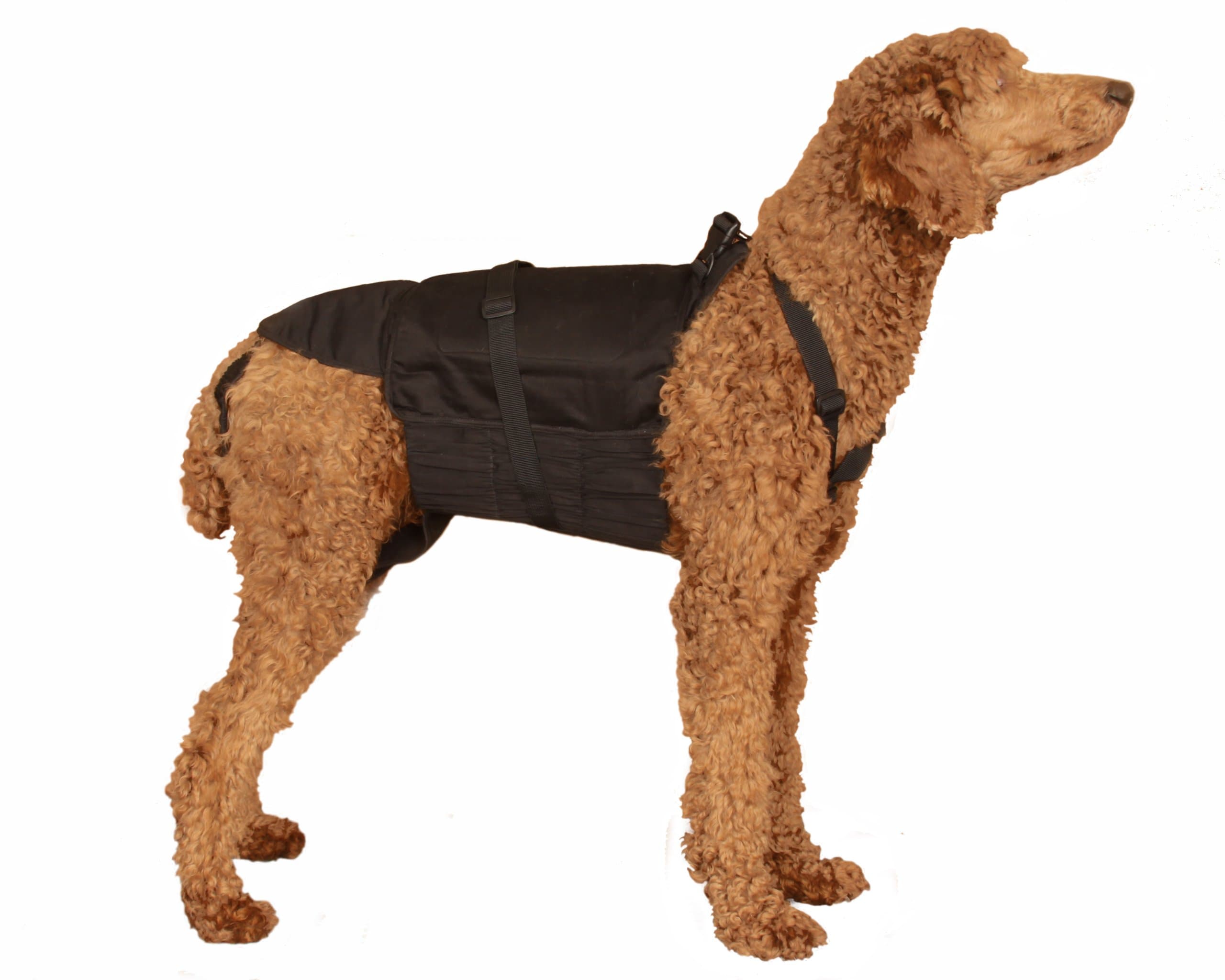 Dog Diaper Wrap LARGE BLACK