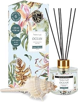 Soul & Scents Ocean Reed Diffuser Set | Free 6 Fiber Reed Sticks |Toxin Free & Stress Relief | Fine-Living Natural Fragrance, 120 ml (Pack of 1, Tranparent)