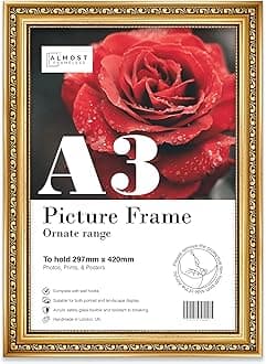 A3 Gold Ornate Picture Frame Fits A3 (29.7 x 42cm - 11.7 x 16.5in) Poster, Photo, Artwork, or Print. Shabby Chic Style Portrait and Landscape Display with Wall Hooks