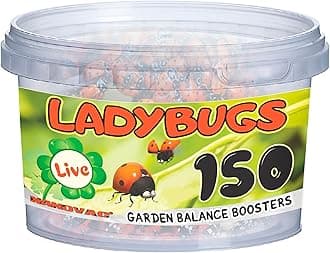 Live Ladybugs (150 Count) – Hippodamia convergens – for Garden, Roses & Vegetable Plants – Ventilated Container - Ready to Release