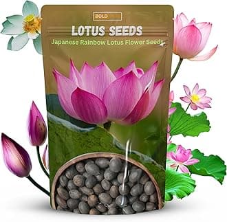 - Lotus Seeds - Lotus Seed for Planting in Water | Japanese Rainbow Lotus Flower Seeds, All Season Water Garden Plant, Home and Balcony Growing (20 Pcs)