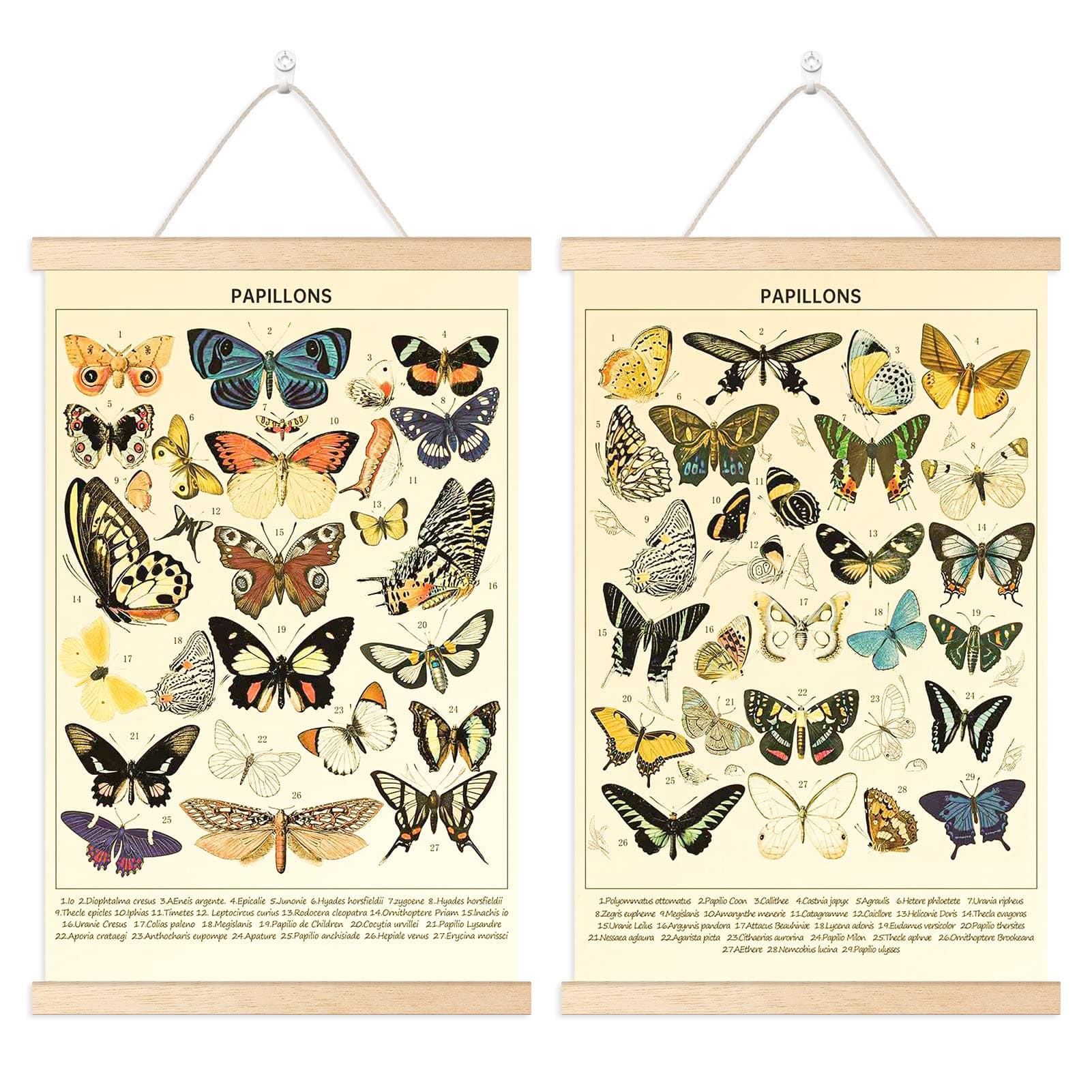Butterfly Hanging Poster