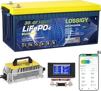 LOSSIGY 36V Lithium Golf Cart Battery with 25A Lifepo4 Charger, Prefect for Trolling Motor, Marine, Boat, Built in 200A Bluetooth BMS, Peak Current 1000A(3-5s), 10 Yrs Lifespan