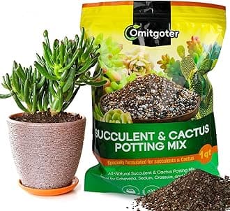 Succulent & Cactus Soil Potting Mix 1qt, Natural Organic Potting Mix for Cactus, Succulent, Palm, and Citrus Grown in Containers Indoors and Outdoors