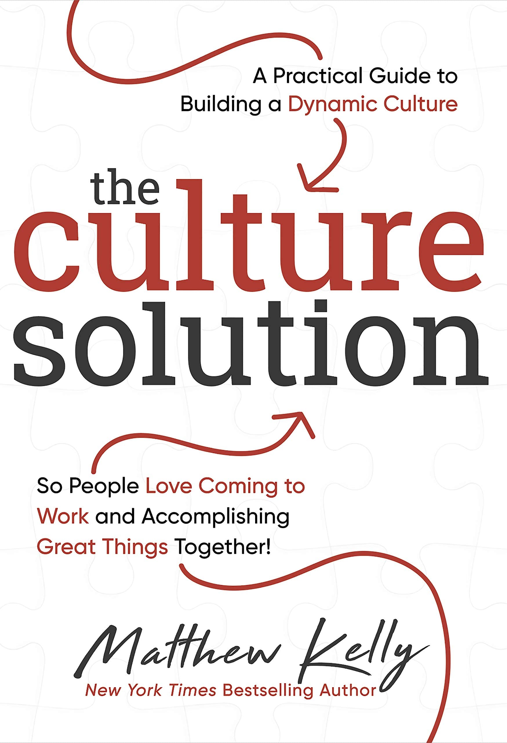 The Culture Solution: A Practical Guide to Building a Dynamic Culture So