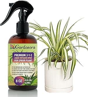 - Gardenera Professional Spider Plant Spray Fertilizer Mist for Home Gardening | 3-1-2 Gentle Blend Mist for Healthy Leaves & Growth | Essential Nutrients for Spider Plants - 8oz