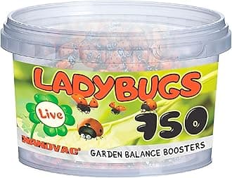 Live Ladybugs (750 Count) – Hippodamia convergens – for Garden, Roses & Vegetable Plants – Ventilated Container - Ready to Release