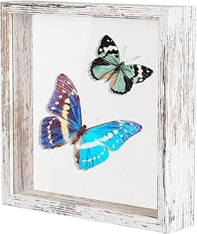 Califortree 8x8 Shadow Box Frame with Soft Linen Back - Metal Push Pins Included, Memory Box Display Case for Memorabilia Flower Awards Medals Wedding Photos, Rustic White