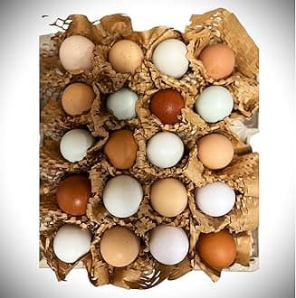 Free to Range Hen Eggs (12)