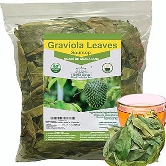 Soursop Graviola leaves Premium (115 cups) 350 leaves aprox, Big Bag, Hojas de guanabana, tea Soursop, Whole Dried Herbs,. (4.5 oz) 350 leaves aprox. Gabio Green.