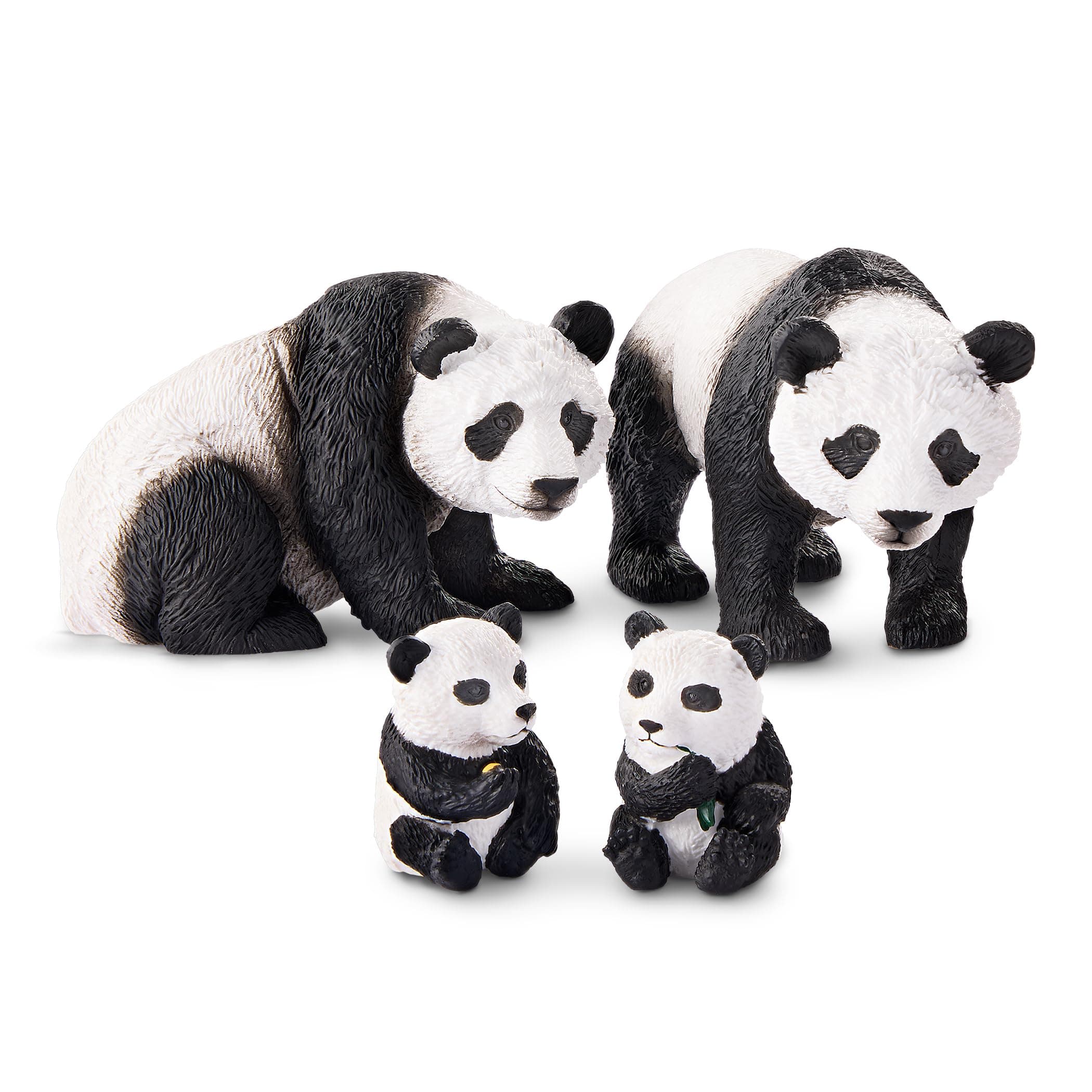 Panda Bear Family