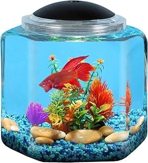 API Betta Kit Hex Fish Tank, 2 Gallon