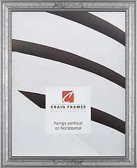 Craig Frames 314SI, Ornate Silver Picture Frame, 12 x 36 Inch