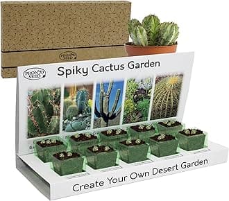Grow Your Own Cactus Kit with 5 Seeds Varieties - Indoor Growing Set with Sustainable Packaging Display - Gift for Women, Men - Beginner-Friendly (Cactus Kit)