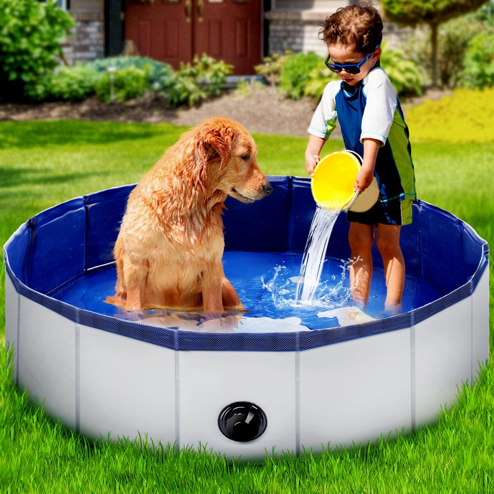 Dog pool