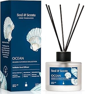 Soul & Scents Glass 120ml Ocean Reed Diffuser Set | Free 6 Fiber Reed Sticks | Stress Relief & Aromatherapy | Long-Lasting, Smoke-Free Air Freshener for Home, Bedroom & Office | Ideal for Gifting