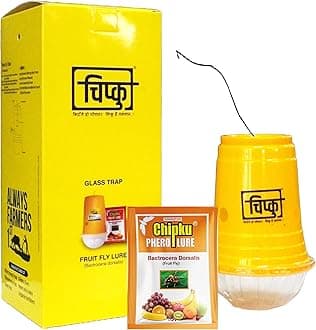 Chipku Fly Magnet Trap Useful in Mango, Papaya, Sapota, Guava, Pomegranate, Sweet Fruit (100 Trap with 100 Fruit Fly Lure) - Pack of 100