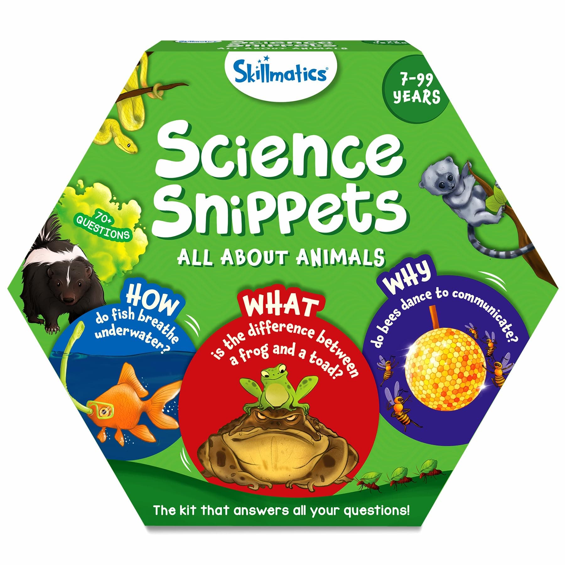 Flash Cards - Science Snippets Animals, STEM Learning Educational Toys & Learning Aids for Kids, Gifts for Boys & Girls Ages 7, 8, 9 & Up, Homeschool, Classroom & Travel Activity