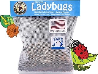 750 Live Ladybugs - Good Bugs - Guaranteed Live Delivery!