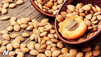 A D Food & Herbs Bitter Apricot Kernels Raw Unprocessed Fresh and Natural (100 GMS)