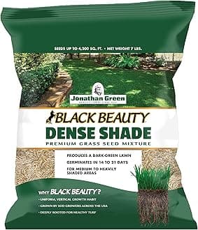 Jonathan Green (10620) Black Beauty Dense Shade Grass Seed - Cool Season Lawn Seed (7 lb)