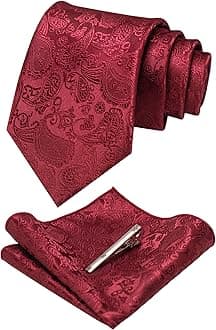 Mens Solid Color Paisley Necktie and Pocket Square with Tie Clip Sets