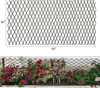 Expandable Garden Trellis Plant Support Willow Lattice Fence Panel for Climbing Plants Vine Ivy Rose Cucumbers Clematis 36X92 Inch