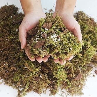 2QT Orchid Potting Mix with Moss Pine Bark Mulch Perlite & Coco Peat Natural Ingredients, Orchid Repotting Soil Medium Great for Indoor Plant Root Climbing & Expanding