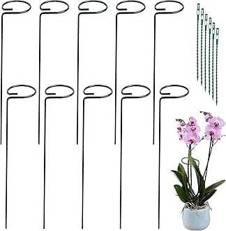 20 Packs 36 Inches Plant Support Stakes, Single Stem Plant Stake Support Rings for Tomatoes, Flowers Stakes and Supports Amaryllis Stakes with 40pcs Plant Sticks