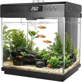 3.7 Gallon Aquarium Starter Kit Small Glass Fish Tank with Filter and Light (10 Colors Adjustable) Desktop Self-Cleaning Betta Fish Tank Kit Office & Home Decor Idea (Black)