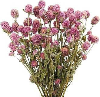 CISDUEO Dried Flower Pink Globe Amaranth Dried Flowers Bundles Natural Dried Flowers Bouquet for Wedding Table Vase Decor Boho DIY Wreath Floral Home Office Party Garden Decoration