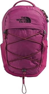 The North FaceBorealis Mini Backpack, Cyber Berry/Sumac, One Size, Borealis Mini Backpack
