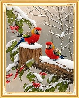Findvoor Stamped Cross Stitch Kits for Beginners Full Range of Cross Stitching Embroidery Pattern for Adults, 11CT DIY Needlepoint Embroidery Starter Kits-Bird Snowy 15.7x19.7 inch
